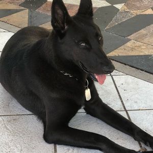 Meet your Posher, Katherine